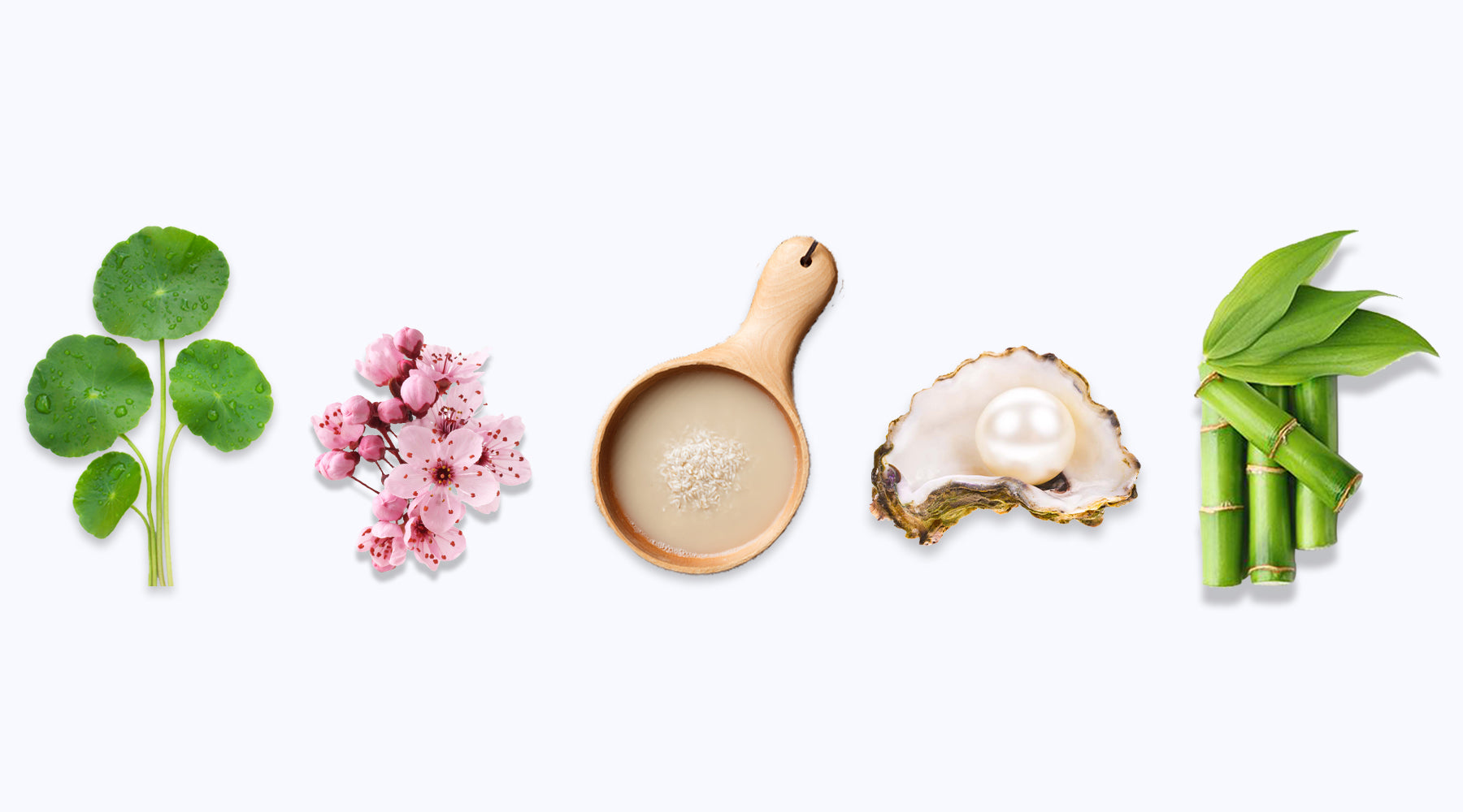 korean skincare ingredients for glowing skin