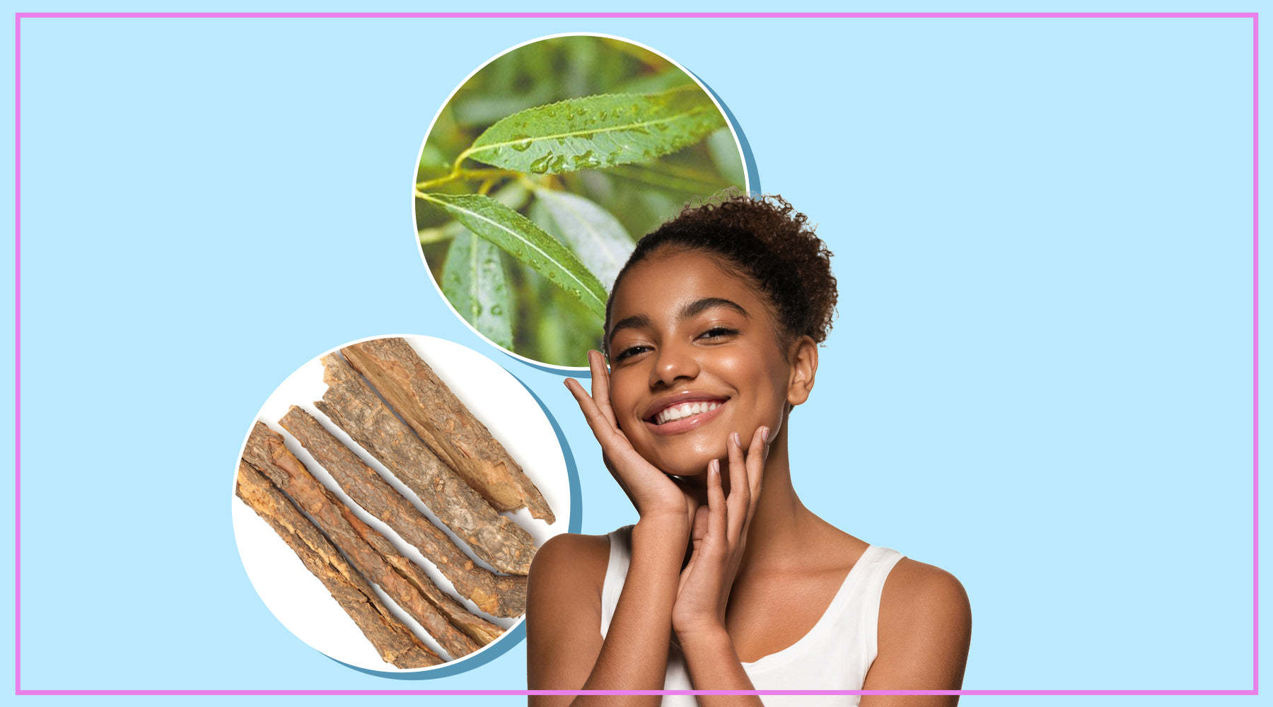 Benefits Of Using Willow Bark Extract In Your Skincare Routine