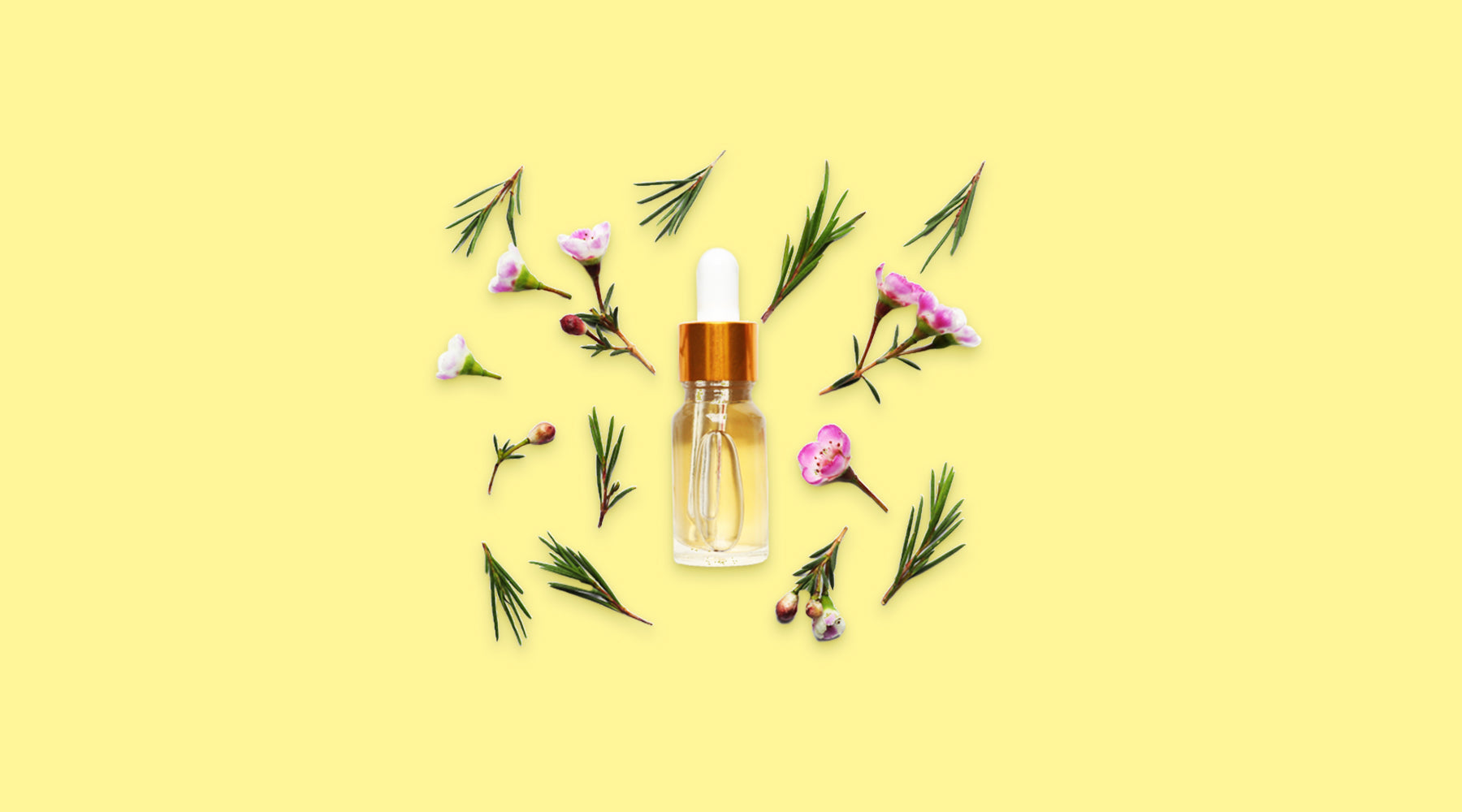 Ingredient In Focus Why Tea Tree Oil Is Your Skin Savior