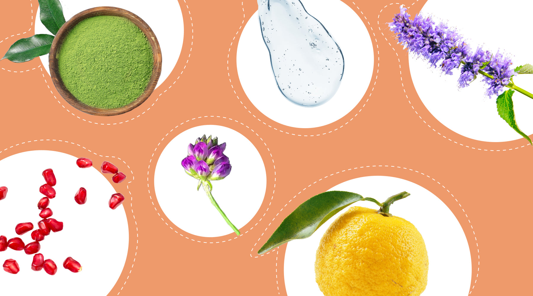 Skincare Ingredients That Can Fight Signs of Ageing