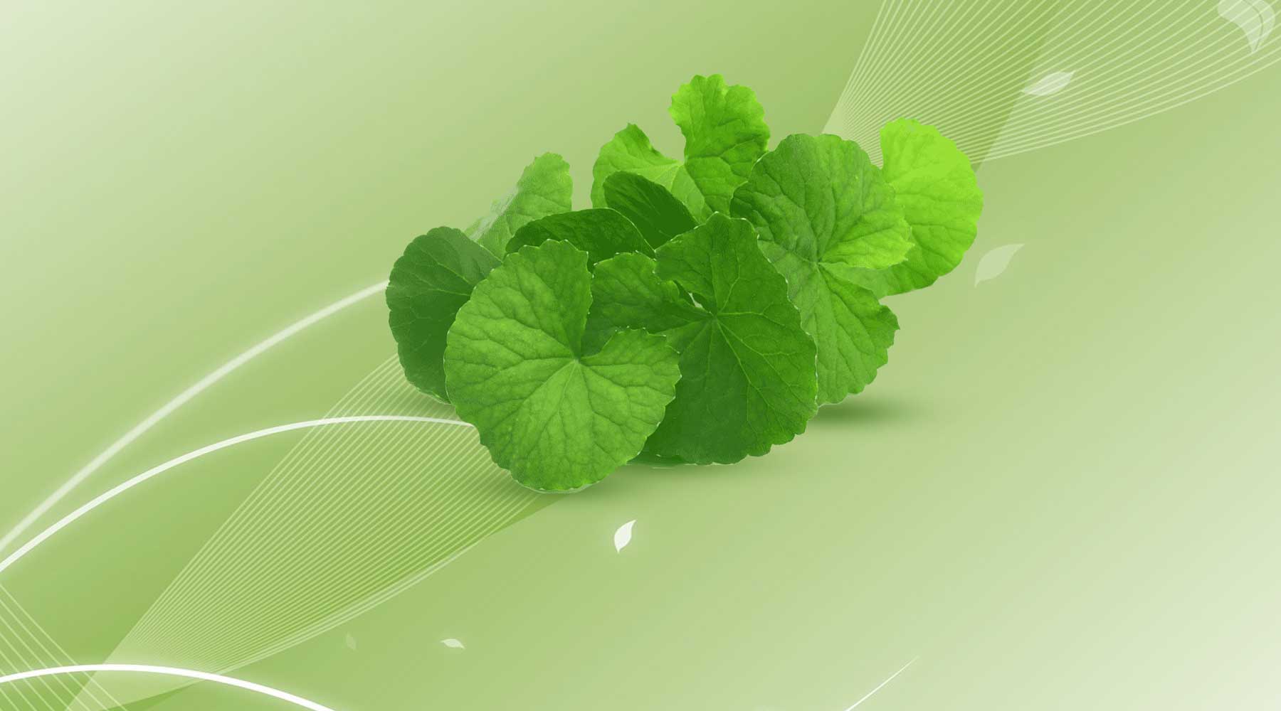 This K-Beauty Natural Ingredient Has Endless Benefits For Your Skin!