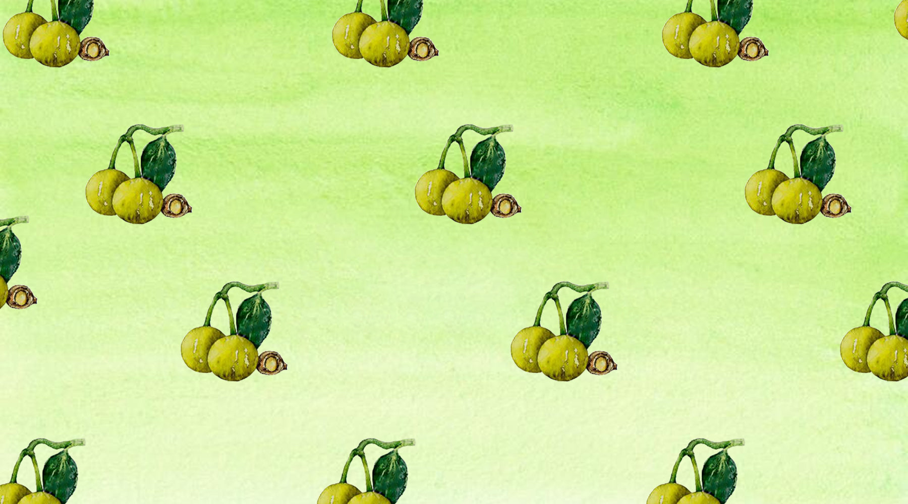 Why Is Tamanu Oil Good For Your Skin