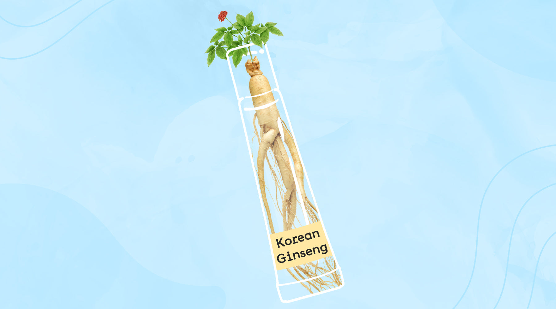 Korean Ginseng Is The Ingredient You Need For A Healthy Glow