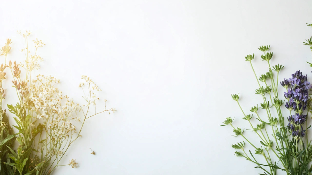 is quench a korean brand - English - Quench Botanics