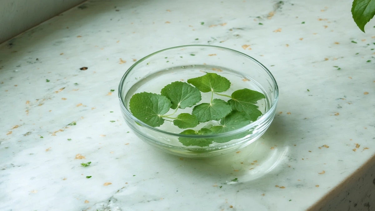cica for acne - English - Quench Botanics